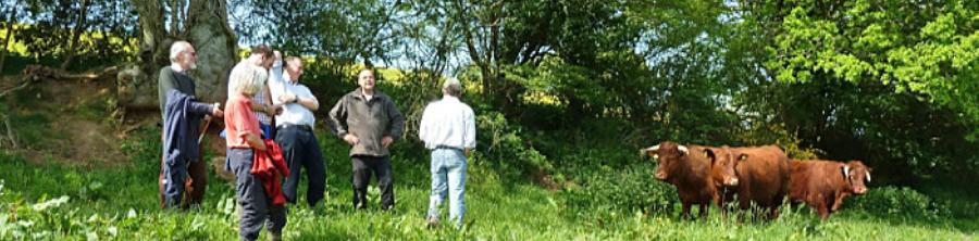 3D rural surveyors, estate management, land surveyors