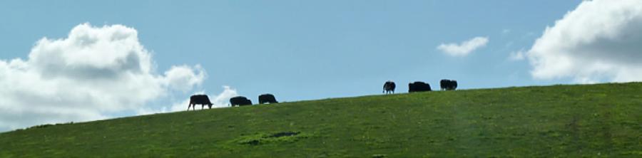 3D rural surveyors, estate management, land surveyors