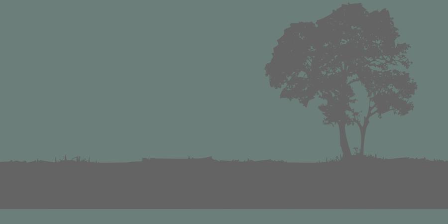 treerevoutgreywhite1a1a